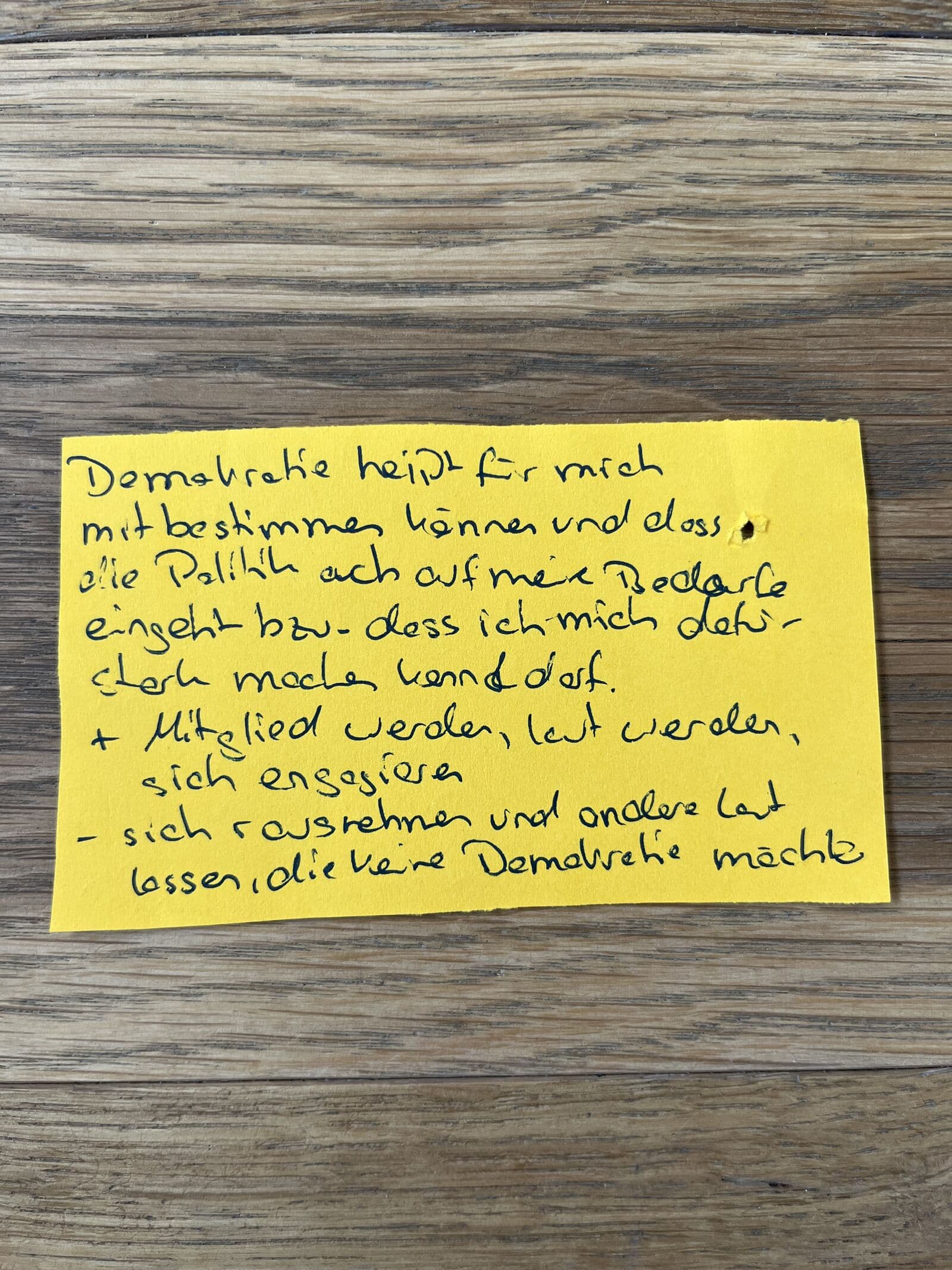 Demokratie Dialogschleife